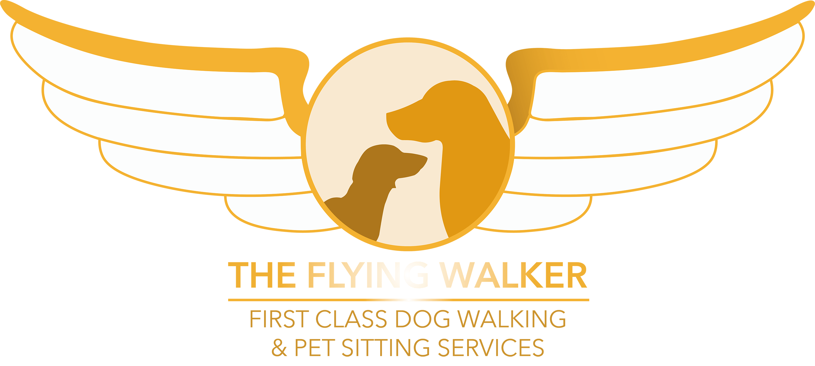 The Flying Walker